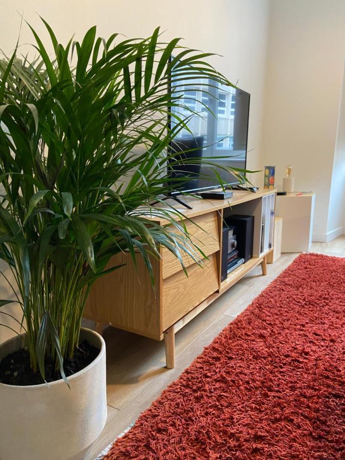 La Palmeraie - Appartement Classe 4 Etoiles - Hyper Centre Ville Quimper Exteriör bild